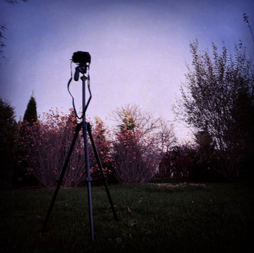 A very basic astrophotography setup: camera, lens, and tripod.