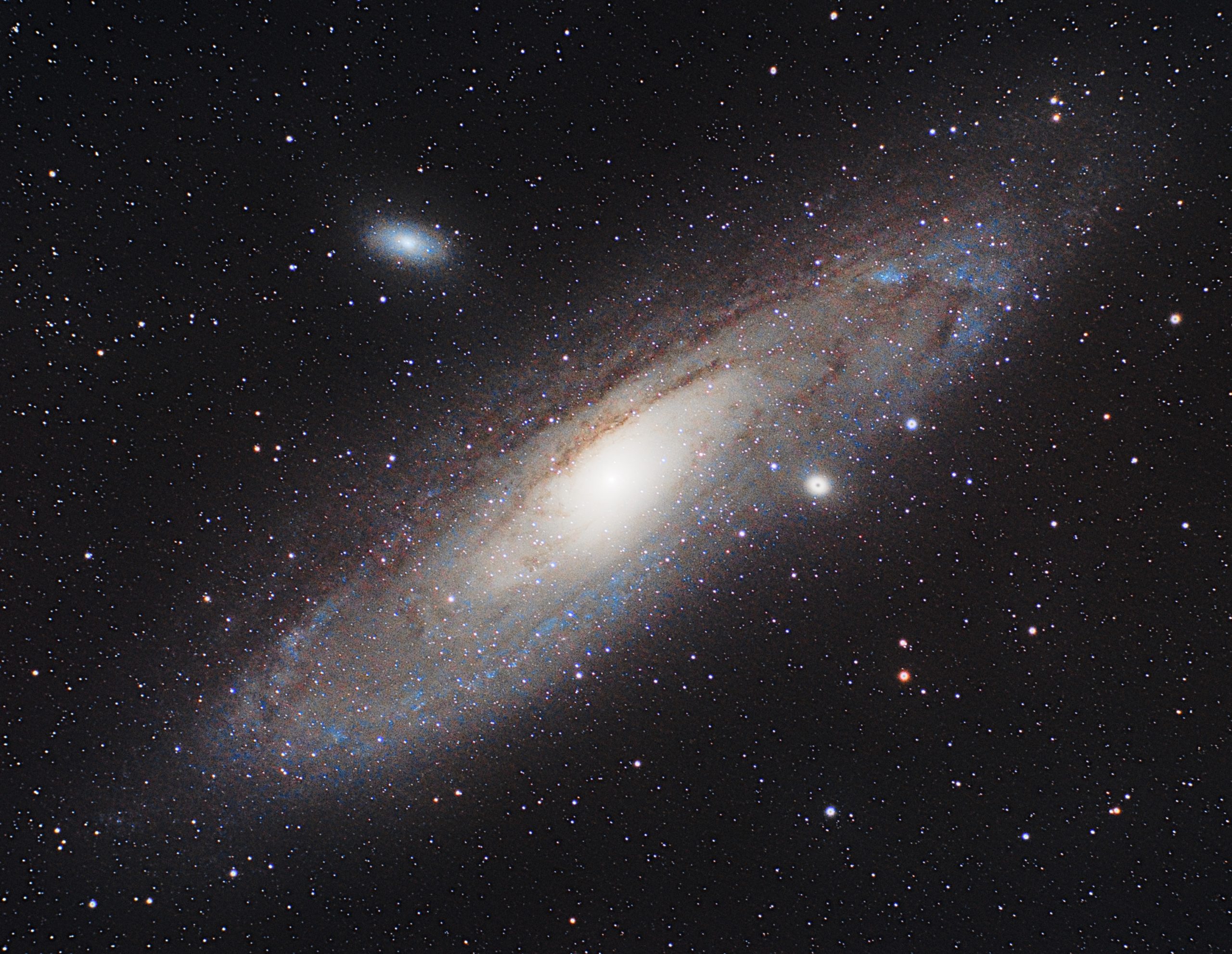 Andromeda Galaxy (M31) captured by an astrophotographer