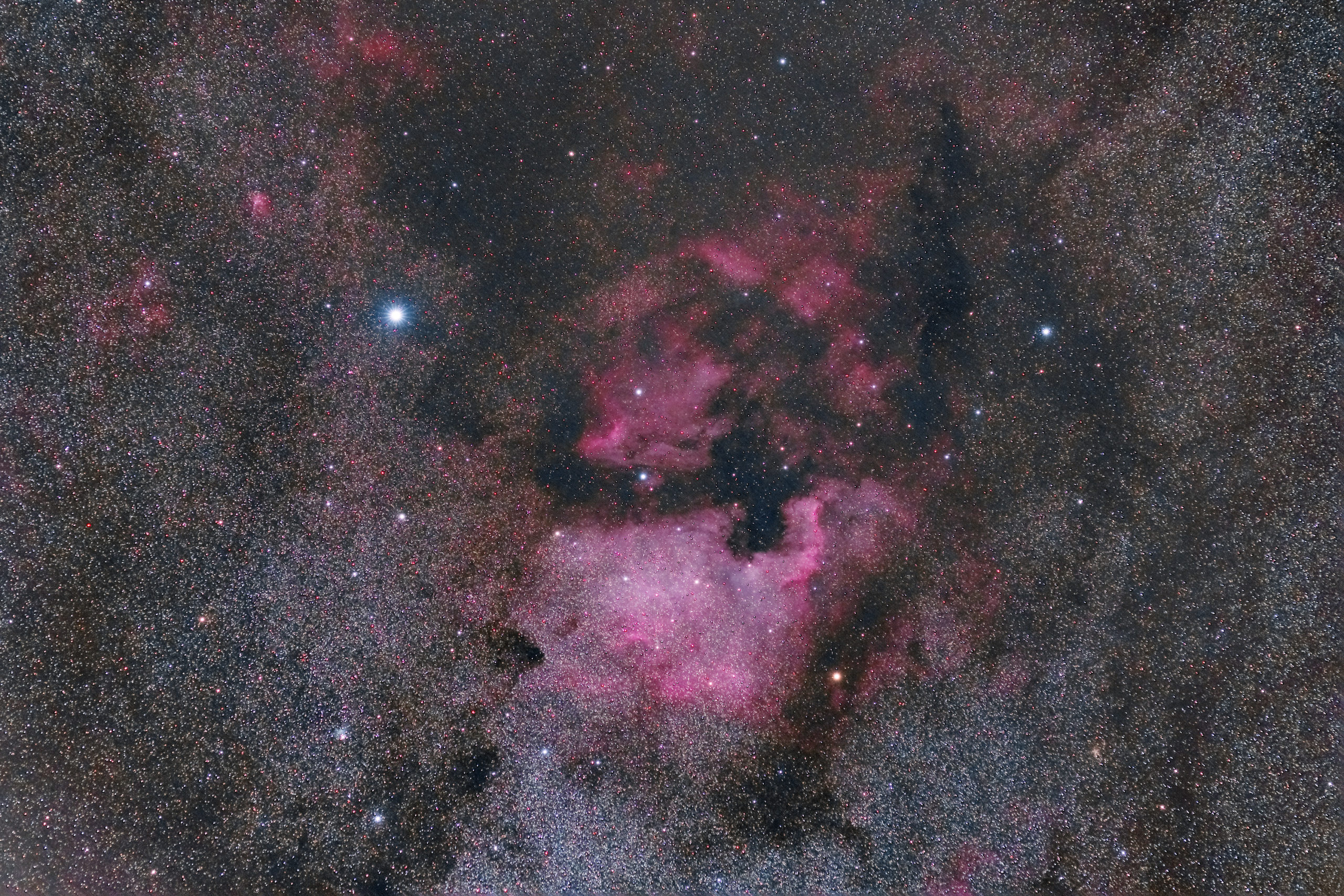 North America Nebula and Pelican Nebula photographed with Rokinon/Samyang 135mm f/2 lens.